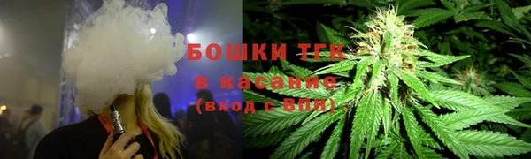 тгк Вяземский