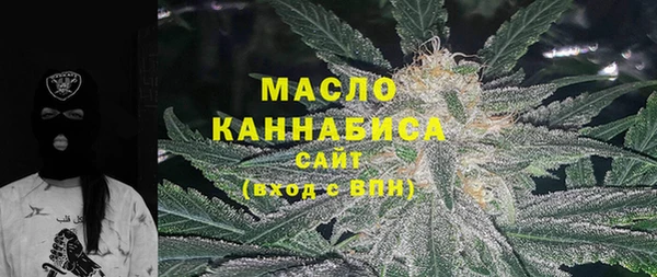тгк Вяземский
