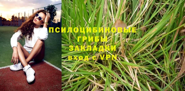 тгк Вяземский