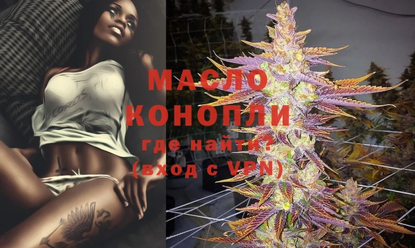 тгк Вяземский