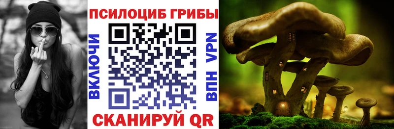 Галлюциногенные грибы мицелий  Купить закладки  Нытва 